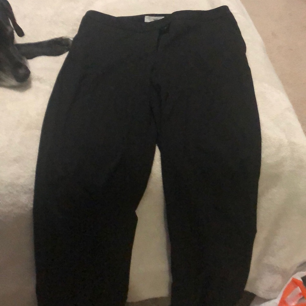 Dress pants